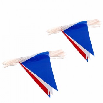 blue plastic mini size hanging pvc triangle flag bunting